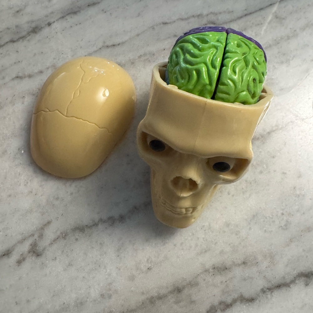 Human Anatomy Models - Picture 8 of 10